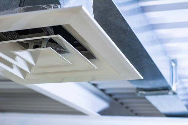 Best Home Air Vent Cleaning  in Chrisman, IL