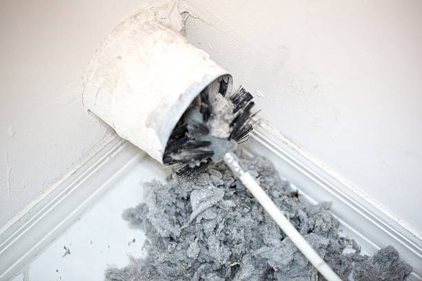 Best Air Quality Test  in Chrisman, IL